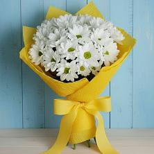 Букет цветов из:  Хризантемы в Новостройку