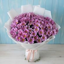 Букет цветов из:  Хризантемы #REPLACE_PRED# Новостройку