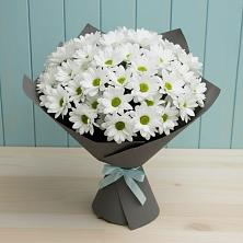 Букет цветов из:  Хризантемы в Новостройку