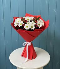 Букет цветов из:  Хризантемы в Новостройку