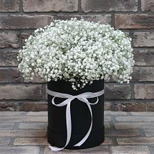 Цветочная композиция из Гипсофила в шляпной коробке в Новостройку
